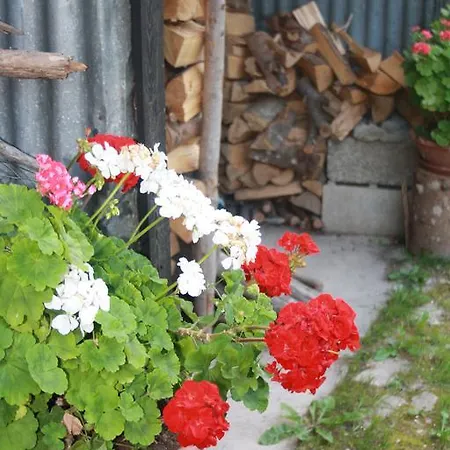 Diffuso Semesterbostad Faller