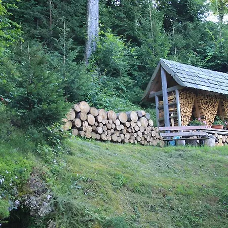 Holiday home Diffuso Faller