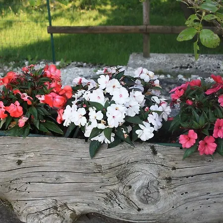 Diffuso Дом отдыха