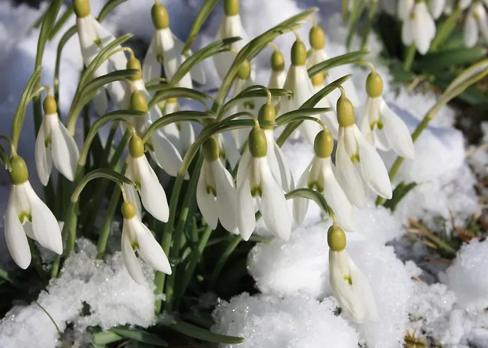 Holiday home Diffuso