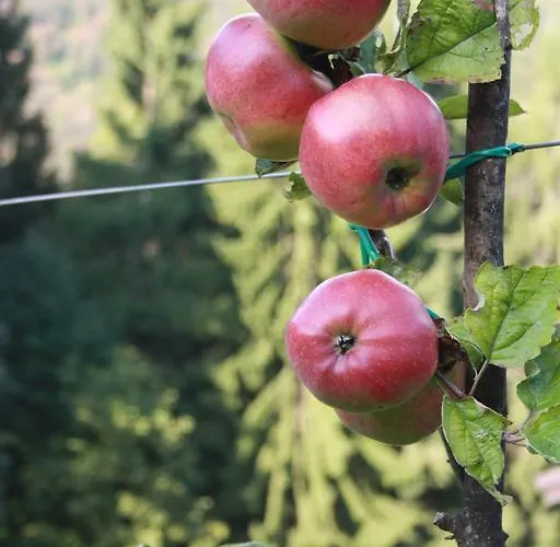 Holiday home Diffuso *