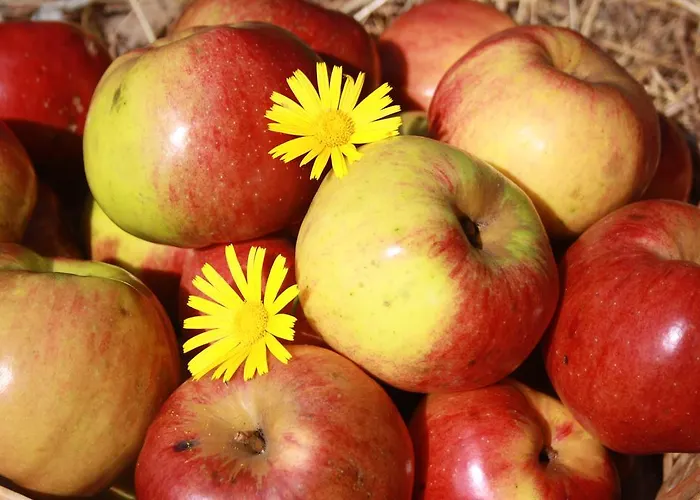 Diffuso Сasa de vacaciones Faller