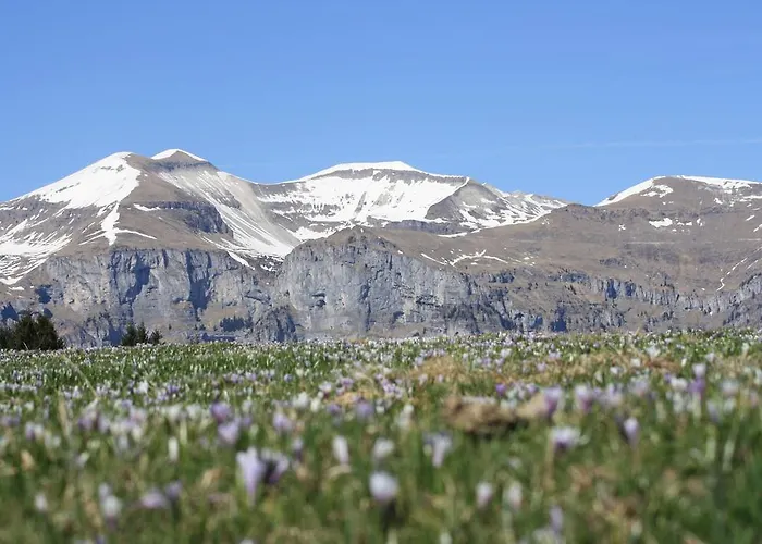 Diffuso Holiday home *