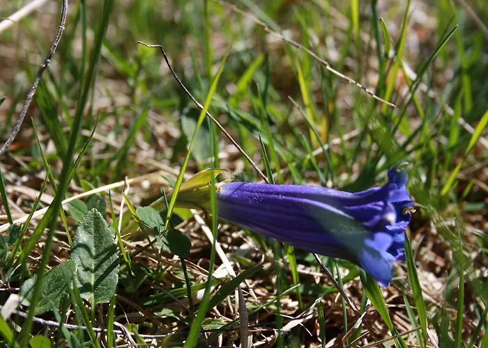 Holiday home Diffuso