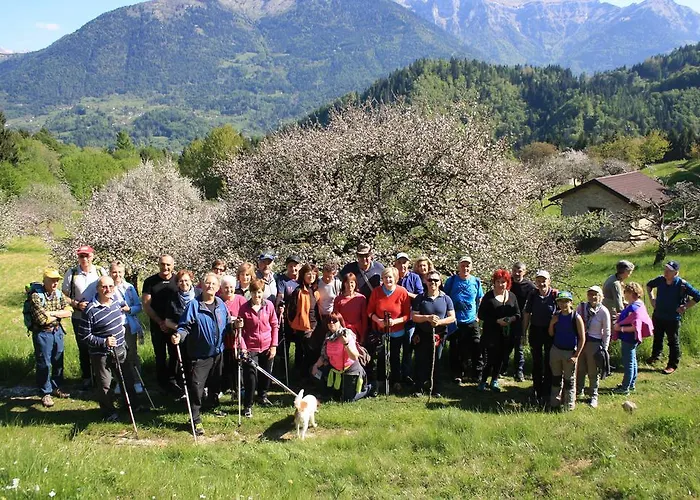 Diffuso Сasa de vacaciones Faller