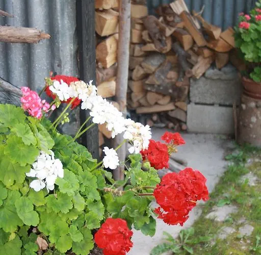 Diffuso Holiday home Faller