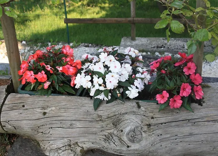 Diffuso Сasa de vacaciones